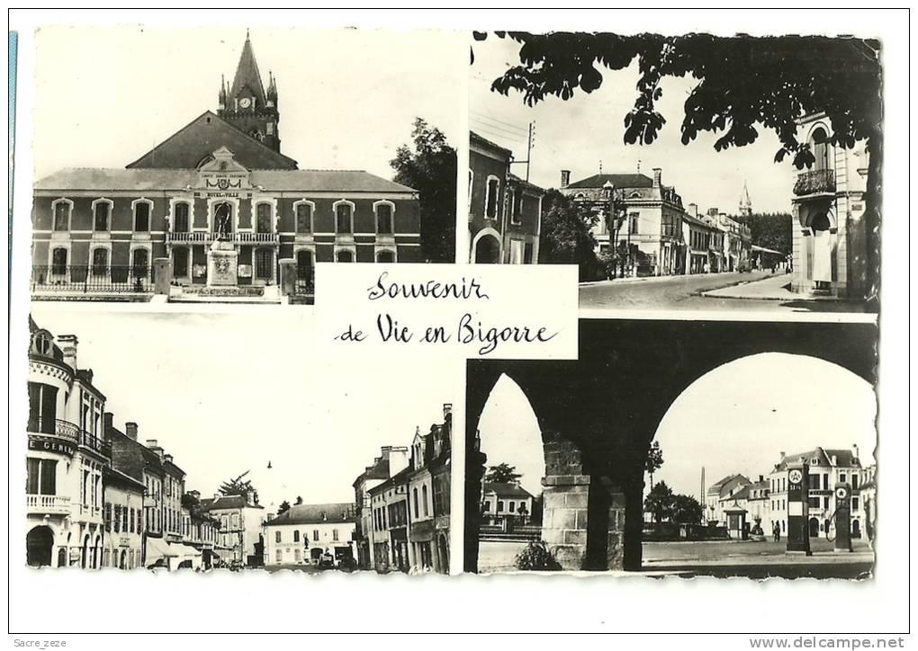 CPSM VIC-SUR-BIGORRE(65)24/06/54-multivues-14X9 Cm - Vic Sur Bigorre