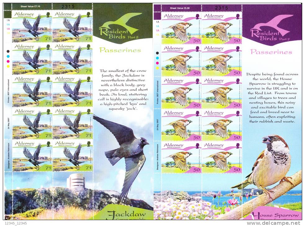 Alderney Postfris MNH Sheet Of 10 Passerines - Alderney