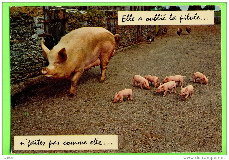 COCHONS - ELLE A OUBLIÉ LA PILULE...N´FAITES PAS COMME ELLE... - PIERRE ARTAUD & CIE - - Pigs