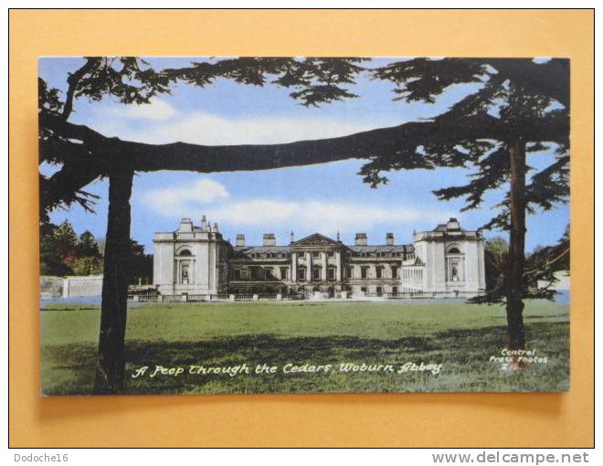 ANGLETERRE - Woburn Abbey (Bedfordshire) - A Peep Through The Cedars, Petit - Sonstige & Ohne Zuordnung