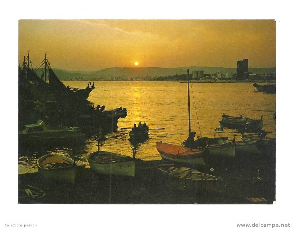 Cp, Espagne, Palamos, Atardecer En El Puerto, écrite 1979 - Gerona