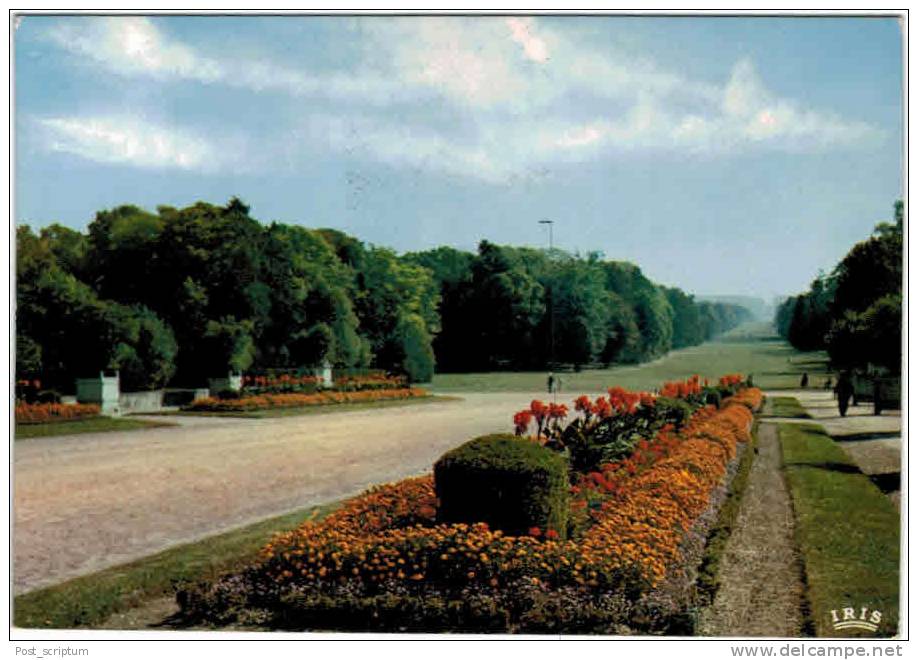 Compiègne - Allée Des Beaumonts - Compiegne