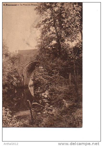 Beaumont Hennegau Belgie Le Pont Du Prince 15.9.1933 Sw - Beaumont