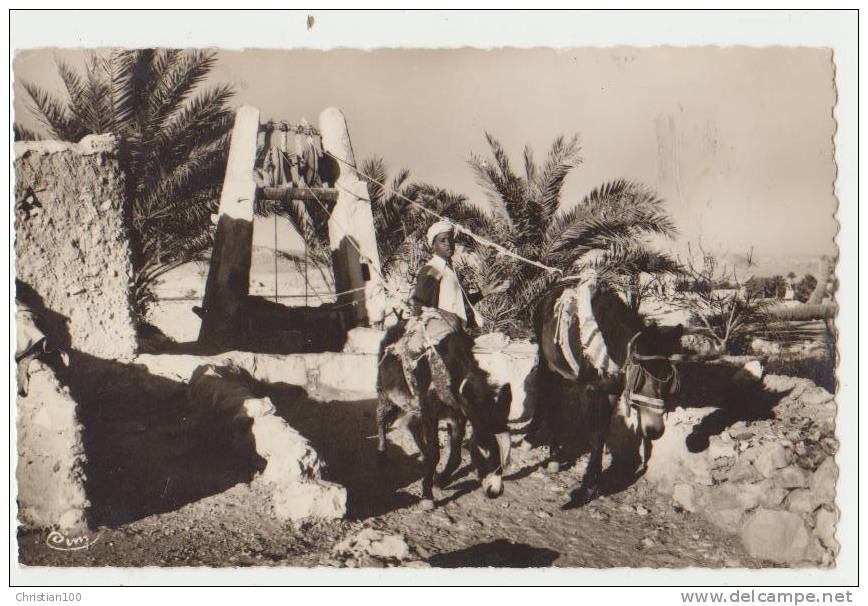 GHARDAIA ( M'ZAB ) - UN PUITS DANS L'OUED - ECRITE 1966 - CPSM FORMAT CPA -2 SCANS- - Ghardaïa