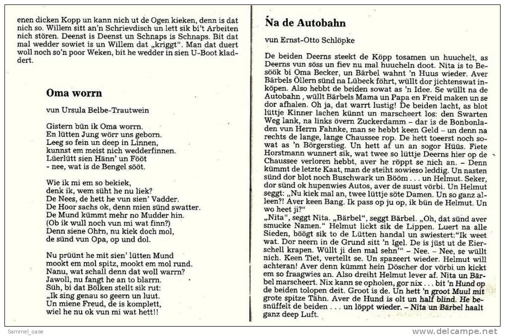 Eutiner Klenner Für Das Jahr Christi 2001 , Kalenderdarium Mit Mondauf- Und Untergangszeiten , Mondphasen - Calendriers