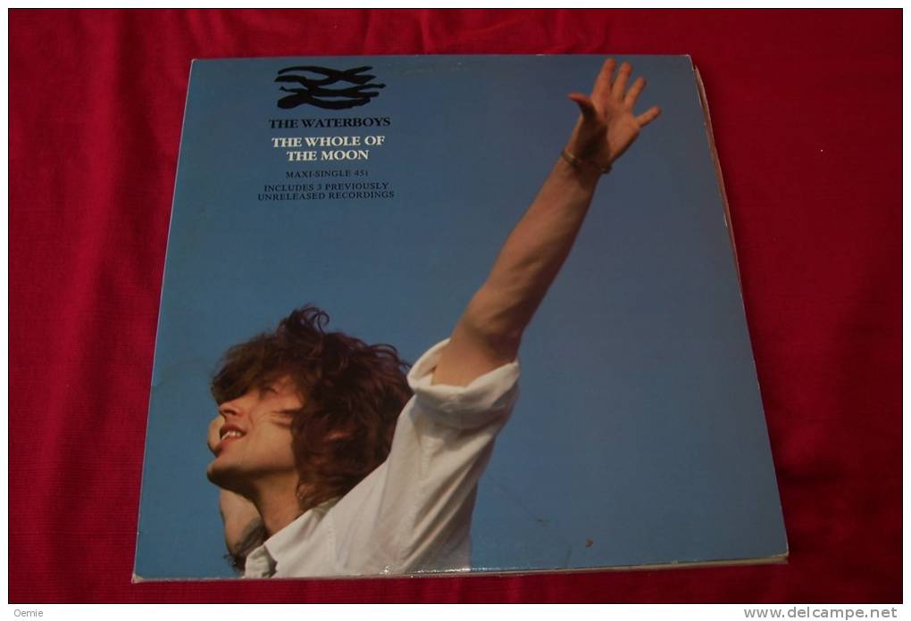 THE WATERBOYS  °  THE WHOLE OF THE MOON - 45 T - Maxi-Single