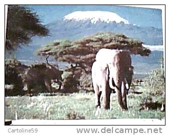 ELEFANTE IN KENYA  V1993   DW3799 GRANDE 17 X 12 - Elephants