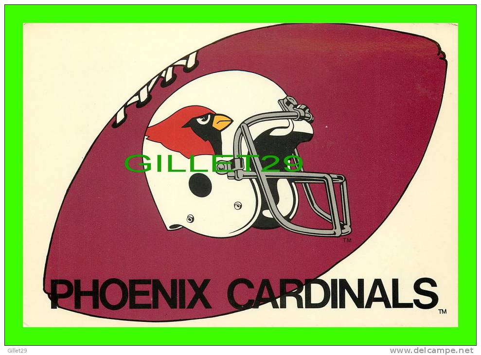 PHOENIX, AZ - PHOENIX CARDINALS OF THE NATIONAL FOOTBALL LEAGUE - - Phoenix