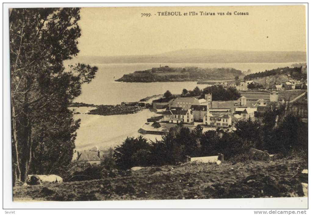 TREBOUL   Et L'Ile Tristan Vus Du Coteau. - Tréboul