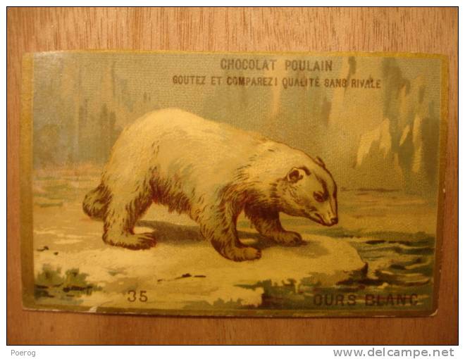 CHROMO - OURS BLANC N°35 - CARTE CHOCOLAT POULAIN - Polar Bear - 10X6 - Ours Polaire - Poulain