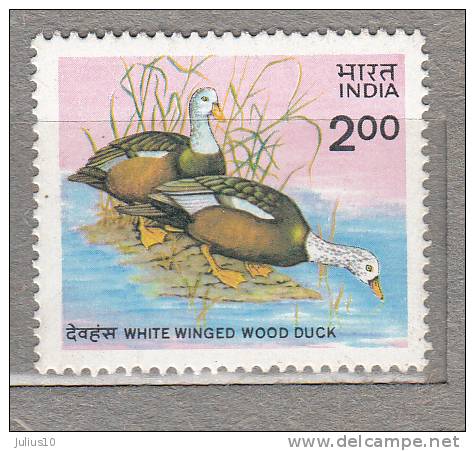 INDIA 1985 Fauna Birds Ducks Mi 1021 MNH (**) #15961 - Canards