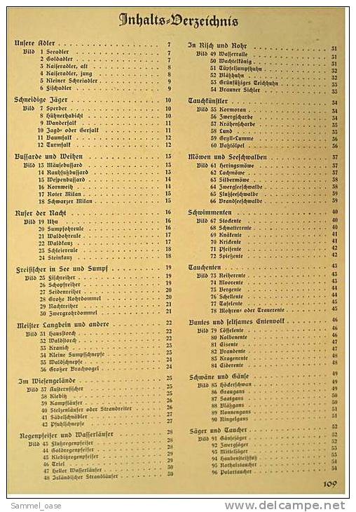 Sammelbilder Album  - Aus Deutschlands Vogelwelt  -  Von Cigaretten-Bilderdienst  -  Unvollständig - Other & Unclassified