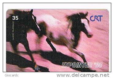BRASILE ( BRAZIL) - CRT - 1998  EXPOINTER '98: HORSES - USED  -  RIF. 2229 - Chevaux