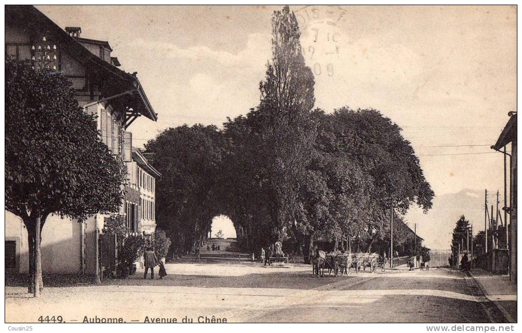 SUISSE - AUBONNE - Avenue Du Chêne - Aubonne