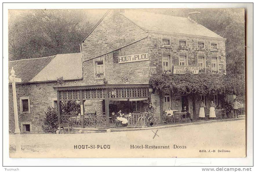 E803 - HOUT-SI-PLOU  -  Hôtel-restaurant DONIS - Neupré