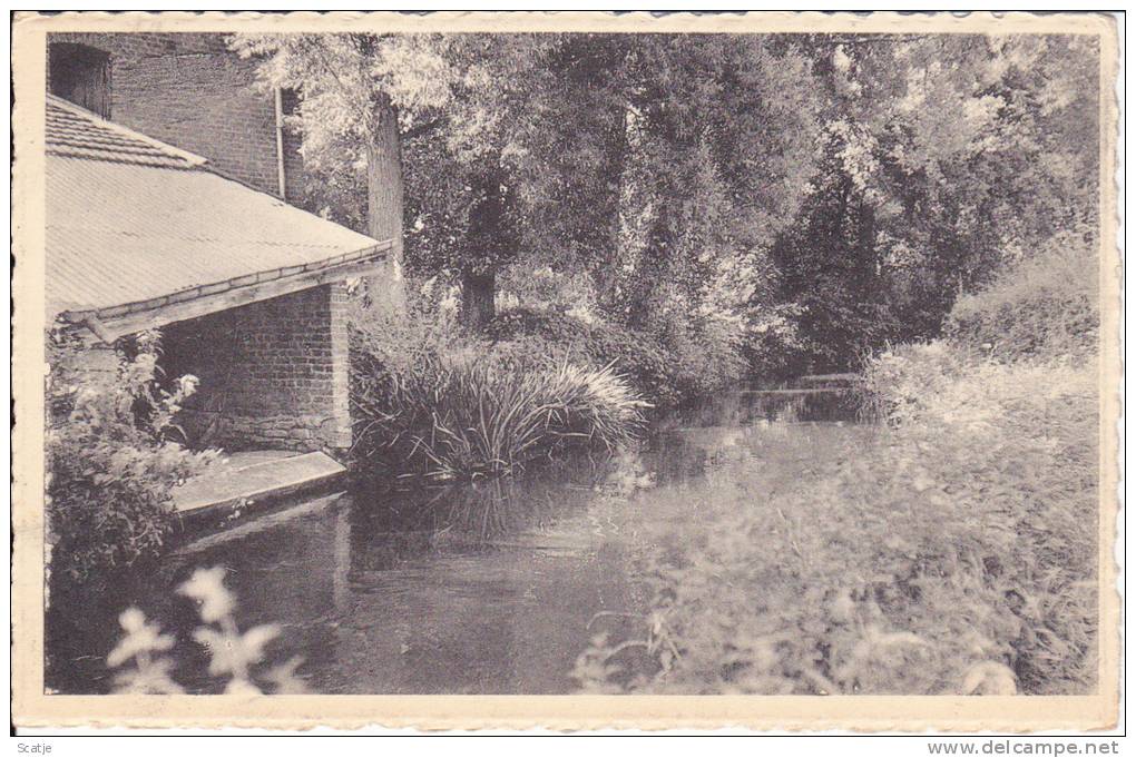 Saint-Mard  1951 -  Lavoir Sur Le Ton - Virton