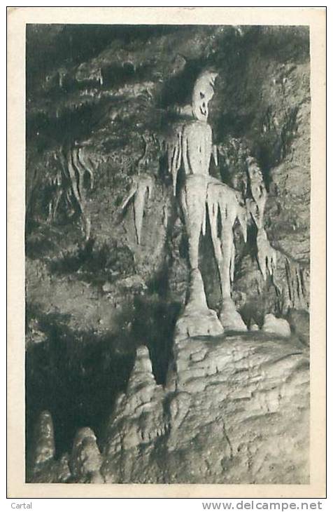 06 - Les Grottes De SAINT-CEZAIRE, Près GRASSE - Le Squelette (Ed. Munier, 7) - Grasse