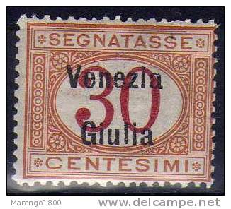 Venezia Giulia 1918 - Segnatasse C.30 **   (g3363)   (NT !) - Venezia Giulia