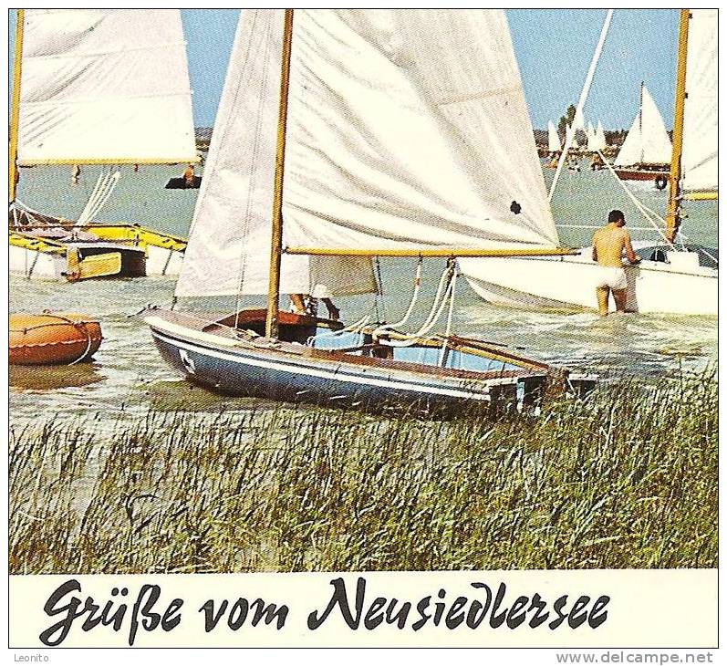 Segler Am NEUSIEDLERSEE Burgenland 1974 - Altri & Non Classificati