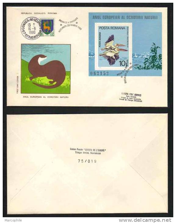 PELICAN - PROTECTION DE LA NATURE - ROUMANIE   / 1980  BF 141 ENVELOPPE  FDC ILLUSTREE NUMEROTEE (ref 3350) - Pélicans