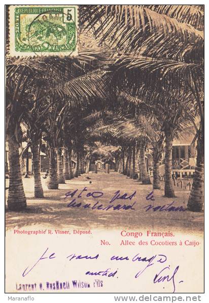 CAIJO. Allée Des Cocotiers - French Congo