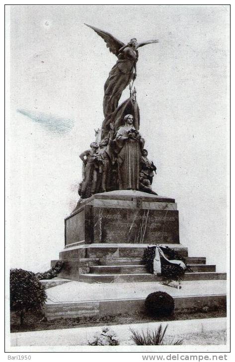 Cartolina D'epoca  " Busto Arsizio - Monumento Ai Caduti Per La Patria   " - Busto Arsizio