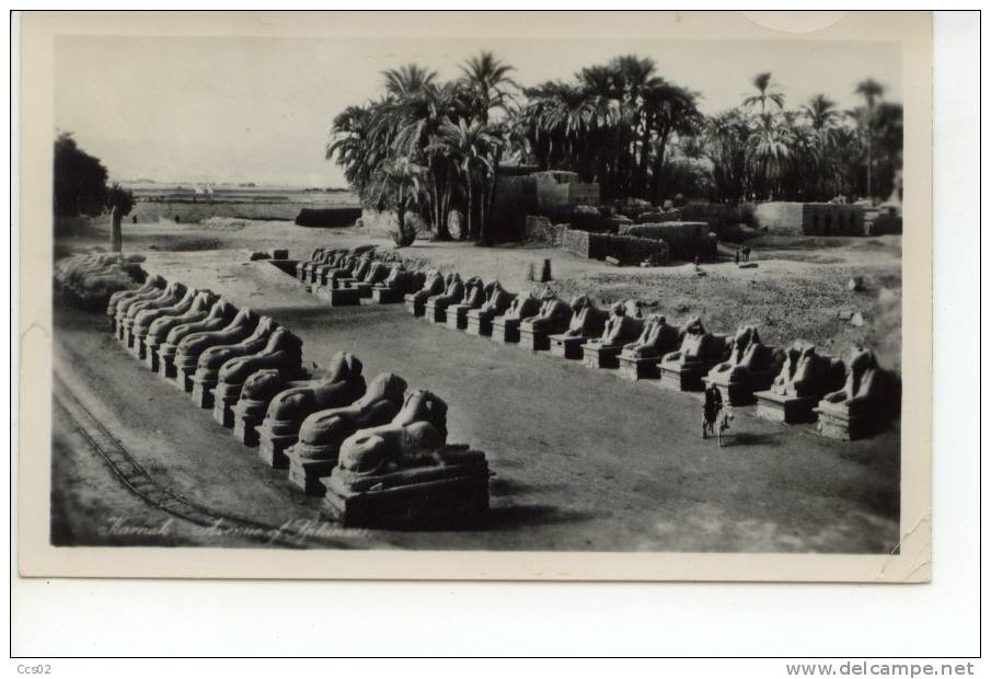 Karnak Avenue Of Sphinxes 1957 - Louxor