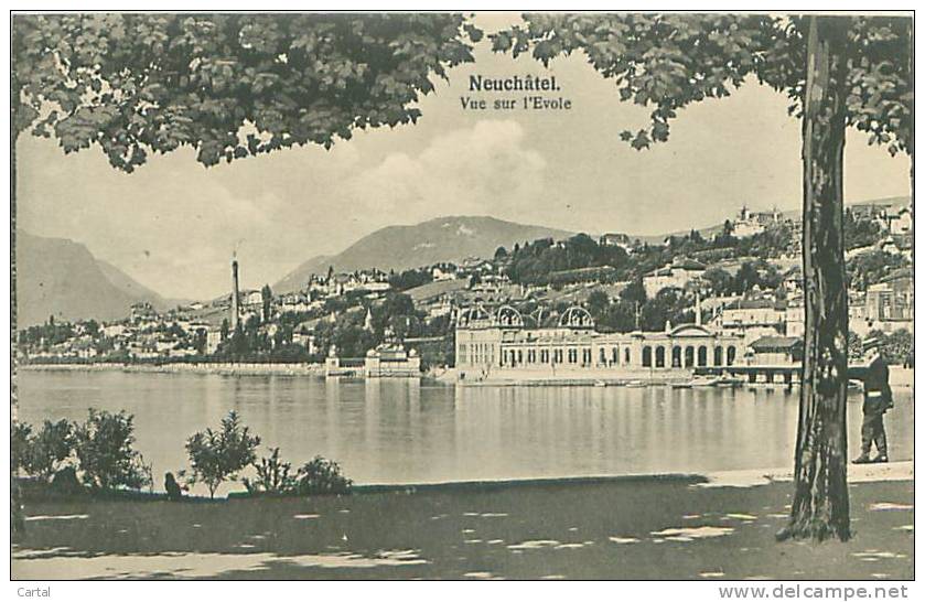 NEUCHATEL - Vue Sur L'Evole (Phototypie Co., Neuchâtel) - Neuchâtel