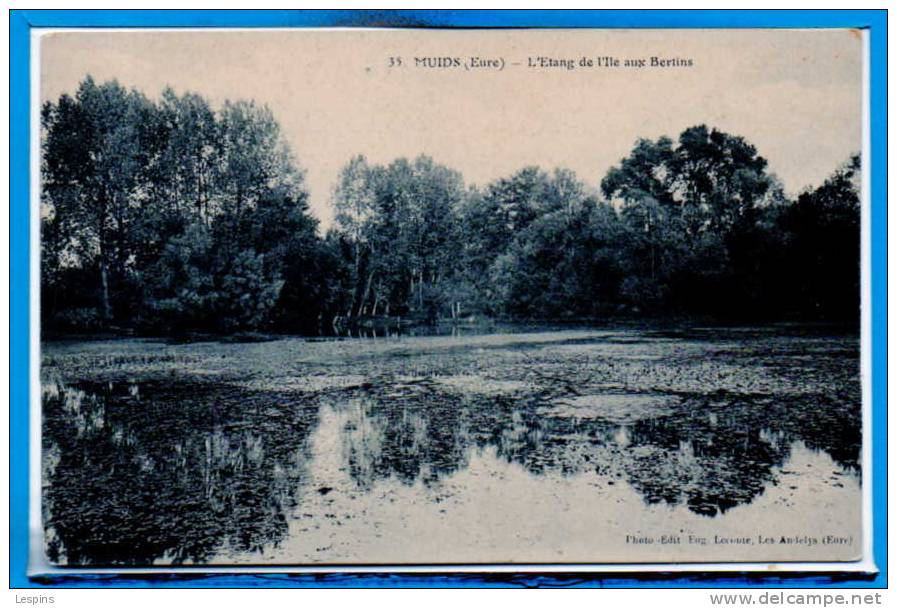 27 - MUIDS --  L'Etang De L'Ile Aux Bertins - Muids