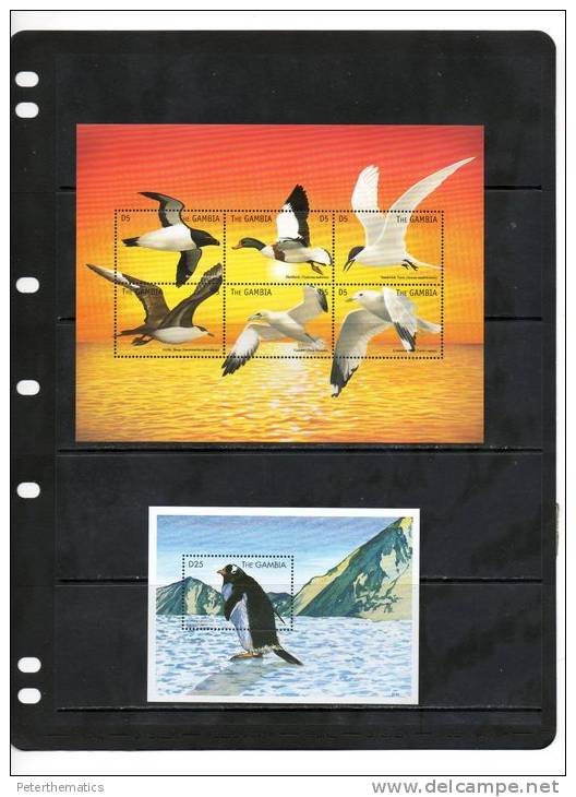 GAMBIA,BIRDS, SEABIRDS, SHEETLET+S/ SHEET,  MNH - Andere & Zonder Classificatie