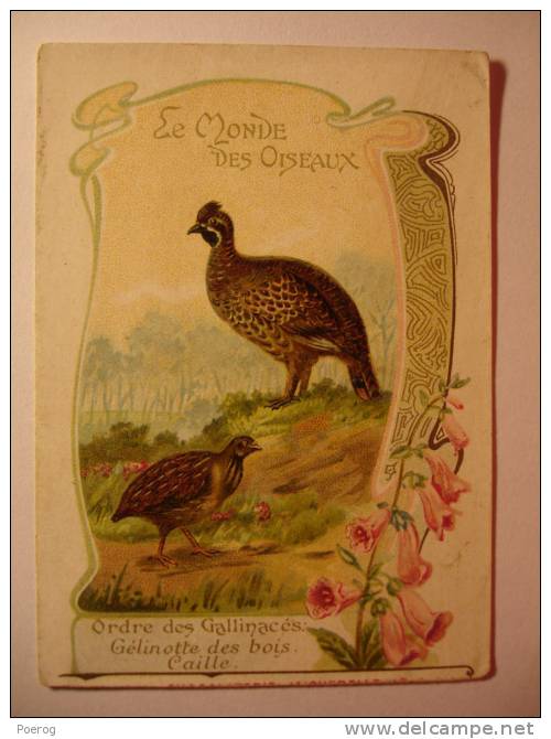 CHROMO - CARTE CHOCOLOAT D'AIGUEBELLE - LE MONDE DES OISEAUX - GELINOTTE DES BOIS CAILLE - 7X10 - Ordre Des Gallinacés - Aiguebelle