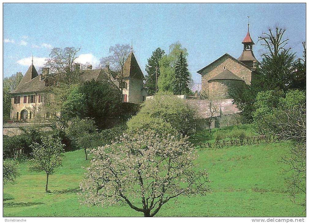 CPM VD Suisse (Vaud) Montcherand, église Romane Et Château (prieuré Saint Etienne Cluny) - Montcherand