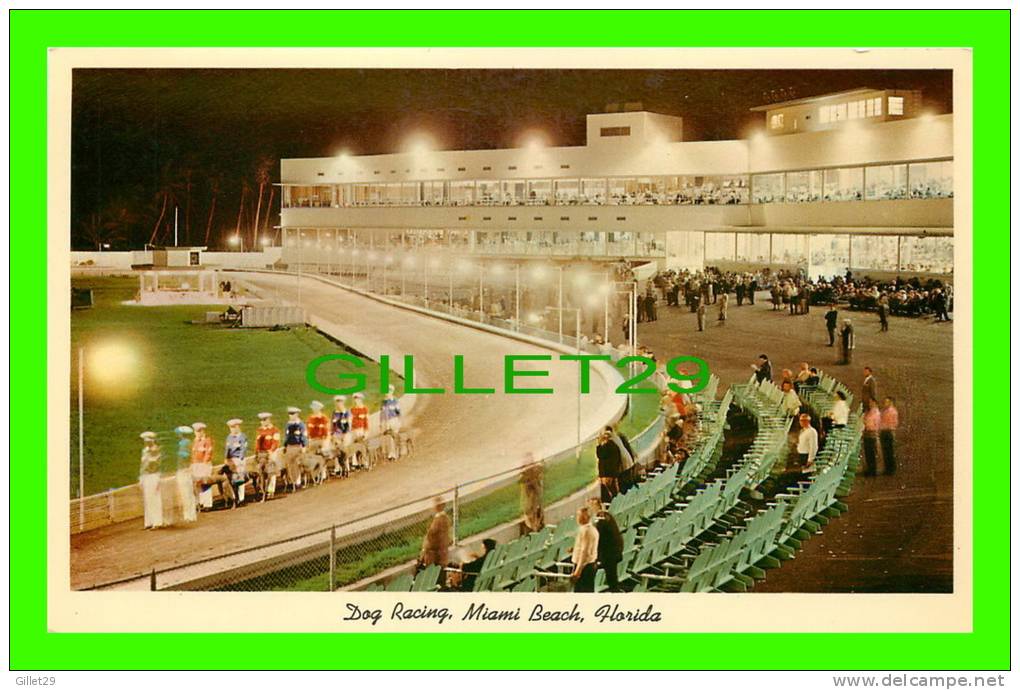 MIAMI, FL - GREYHOUND RACING - GULF STREAM CARD - - Miami