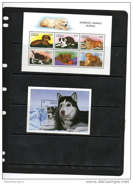 ANTIGUA, 1997, DOGS, PUPPIES,  SHEETLET+ S/SHEET , MNH - Perros
