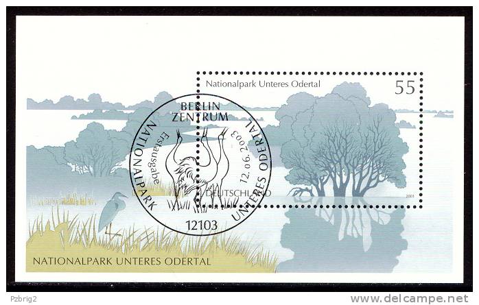 National Park Odertal - Germany 2003 - Souvenir Sheet Mi. Bl. 62 - First Day Issue Cancellation Berlin - Floodplain - Protection De L'environnement & Climat