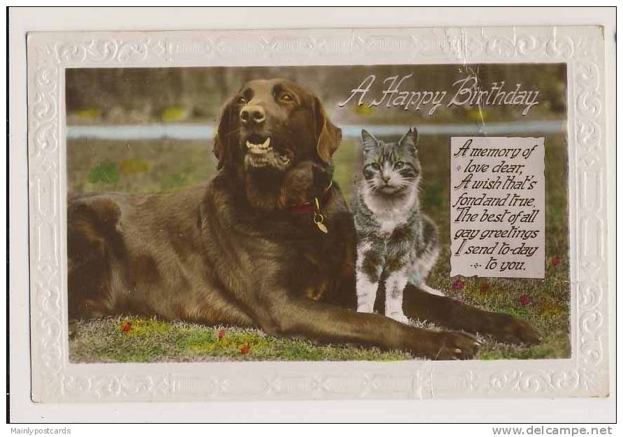 Birthday Greetings - Dog And Cat - Dogs