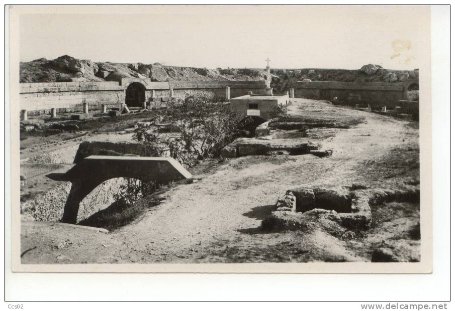 Tunis Carthage L'amphithéâtre Romain - Tunisie