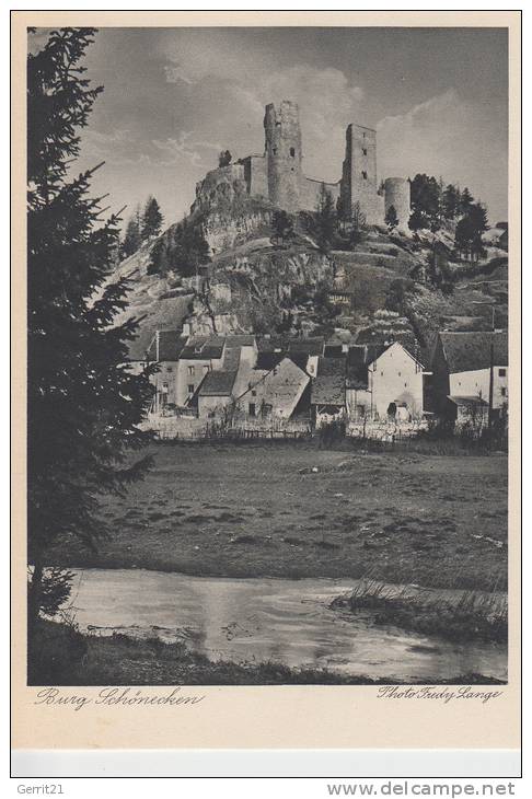 5541 SCHÖNECKEN, Burg - Pruem