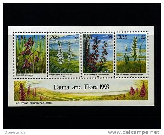 IRELAND/EIRE - 1993  FAUNA AND FLORA  MS   MINT NH - Blocks & Sheetlets