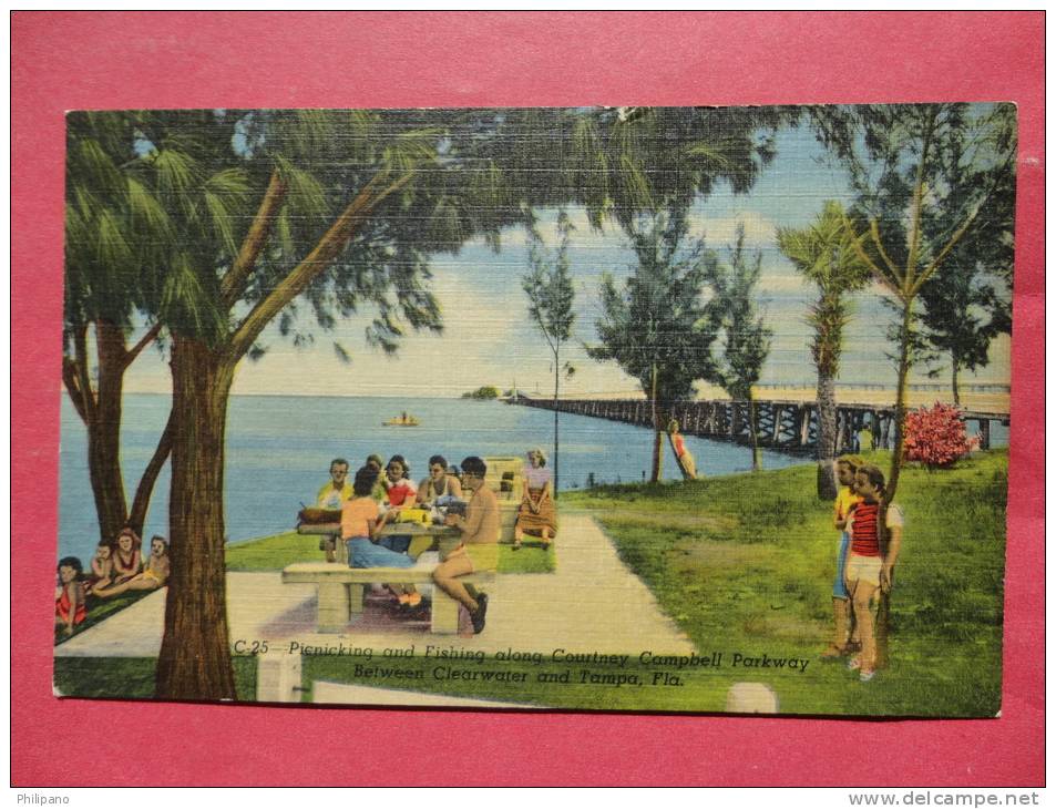 FL - Florida >Picking & Fishing Campbell Parkway  Between  Clearwater & Tampa   Linen-- Ref 634 - Tampa