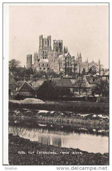 ELY CATHEDRAL FROM RIVER (CARTE PHOTO) 1434 - Ely