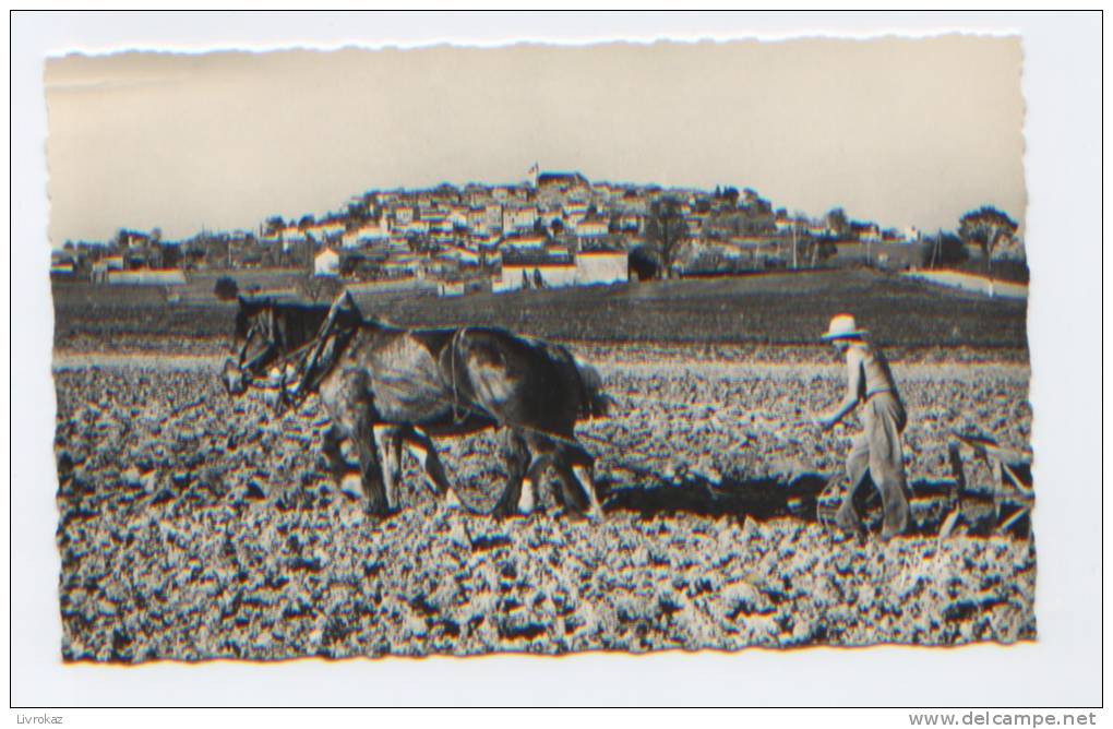 Lot Et Garonne (47), Monflanquin, Vue Générale. Au 1er Plan Les Labours Dans La Plaine, Charrue, Cheval, Horse - Monflanquin