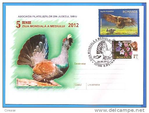 World Environment Day. Birds, Blackcock ROMANIA Enveloppe 2012 - Cuco, Cuclillos