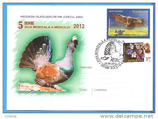 World Environment Day. Birds, Blackcock ROMANIA Enveloppe 2012 - Cuco, Cuclillos