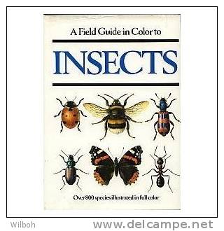 A Field Guide In Color To Insects By Dr. Jiri Zahradnik - Encyclopédies