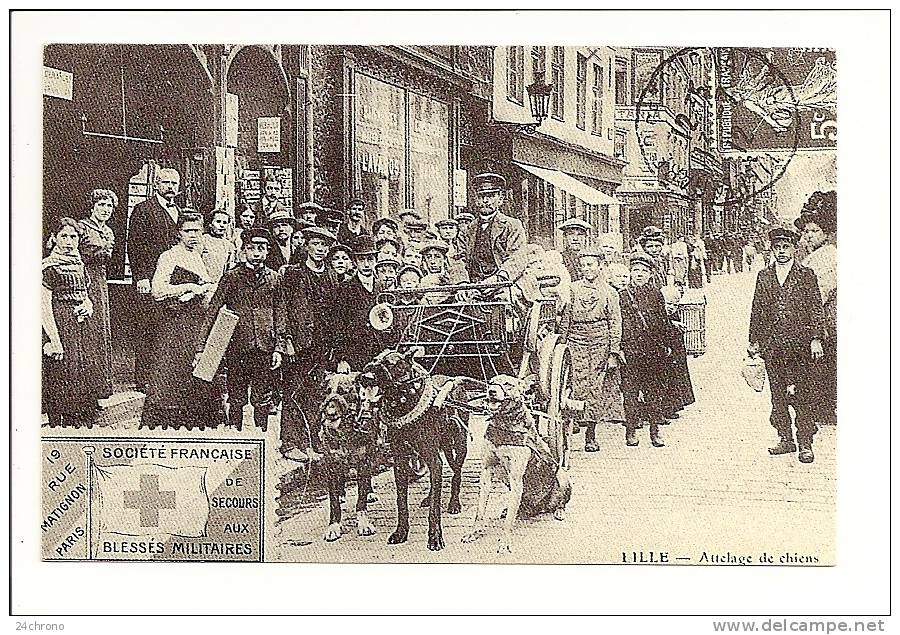 REPRODUCTION: Lille, Attelage De Chiens (12-3555) - Taxis & Droschken