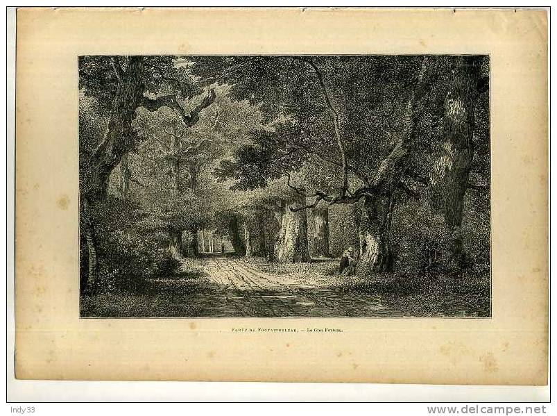 - FORET DE FONTAINEBLEAU . LE GROS FOUTEAU . GRAVURE SUR BOIS  DU XIXe. S.  . - Other & Unclassified