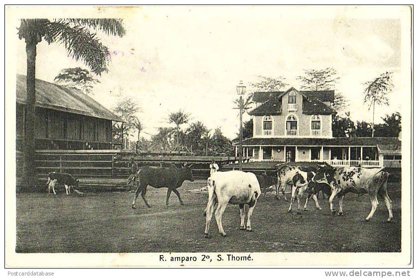 R. Amparo 2°, S. Thomé - São Tomé Und Príncipe