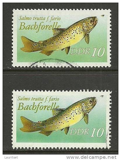 Deutschland DDR 1987 Bachforelle 2 Verschiedene Töne Colour Varieties Michel 3096 O - Abarten Und Kuriositäten