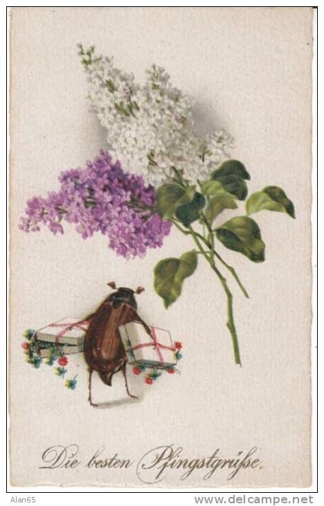 Pfingsten Greetings Whitsun Pentecost, Bug Insect Carries Packages, Flowers, C1910s Vintage Postcard - Pentecôte